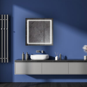 Royale Plus LED Medicine Cabinet Collection With Dimmer And Defogger