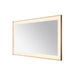  AQUADOM Lexington 60"x36"x2.28" LED Lighted Framed Mirror for Bathrooms with Defogger, Dimmer, Touch Control, 3 Color Lighting in Brushed Gold