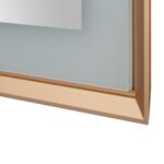  AQUADOM Madison 24"x36"x2.28"LED Lighted Framed Mirror for Bathrooms with Defogger, Dimmer, Touch Control, 3 Color Lighting in Brushed Gold