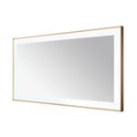  AQUADOM Lexington 72"x36"x2.28" LED Lighted Framed Mirror for Bathrooms with Defogger, Dimmer, Touch Control, 3 Color Lighting in Brushed Gold